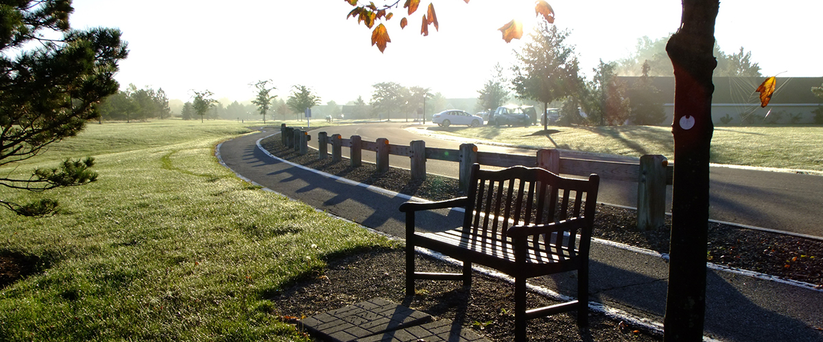 Kendal campus - bench along walkway