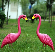 pink flamingos face to face