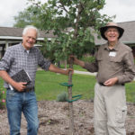 arbor day tree planting