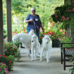 senior woman and her dogs