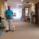 pet-friendly residences