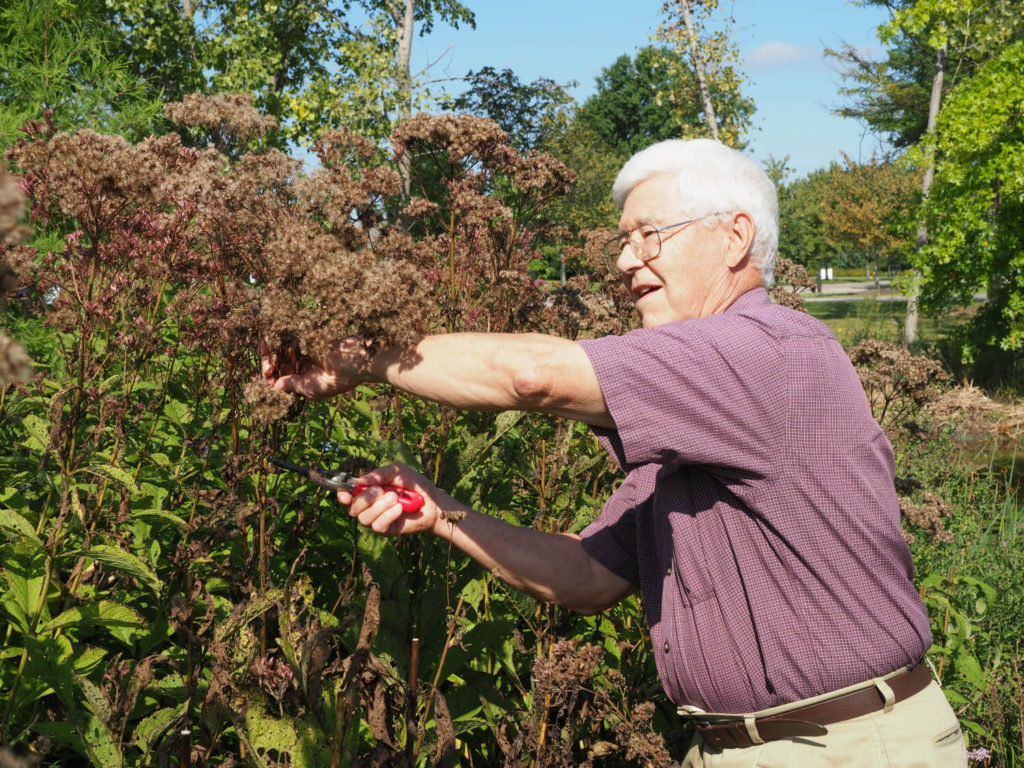 man trimming bushes 