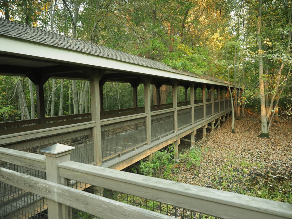 bridge 