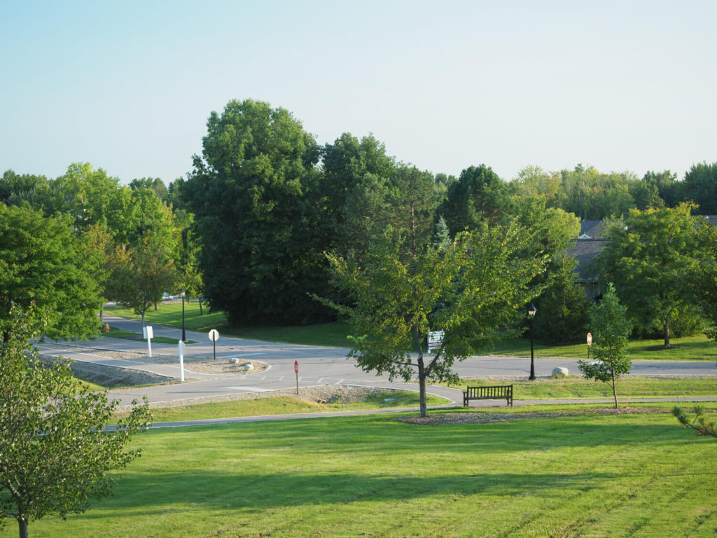 bench and trees 