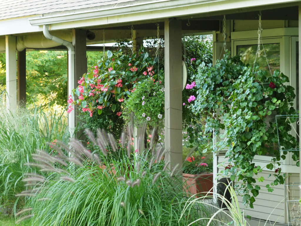 hanging flower baskets 