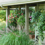 resident hanging plants