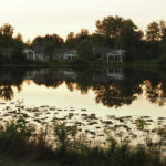 pond at sunset