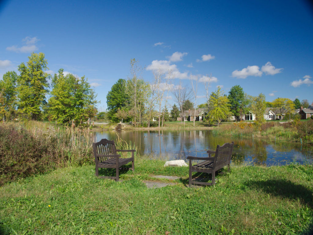 two benches next to pond 