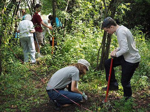 group of people working in garden 