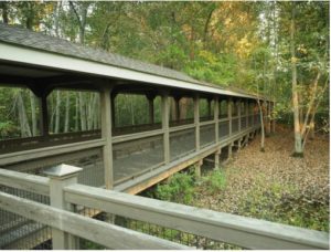 Kendal's Buttonbush bridge