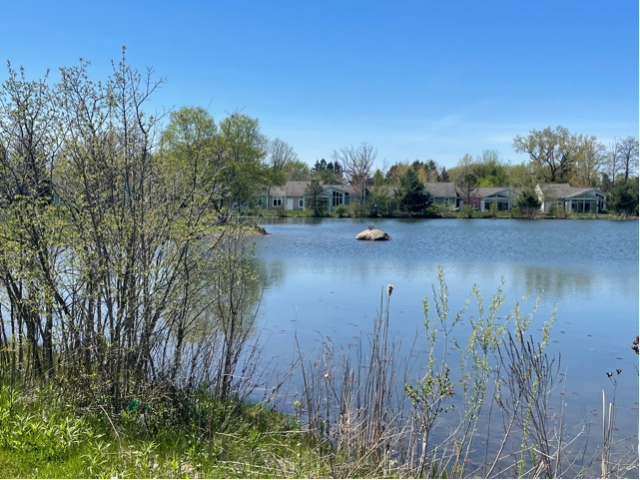 Rock Pond