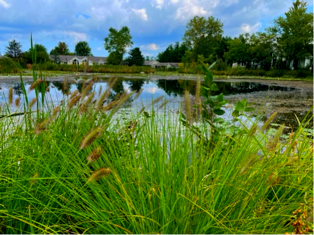 farmer pond