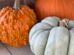 pumpkins