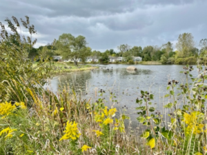 Rock Pond