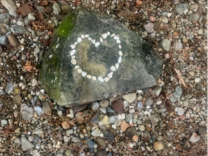 stones in heart shaped arrangement
