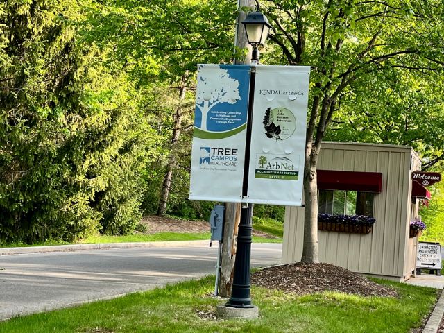 street banners