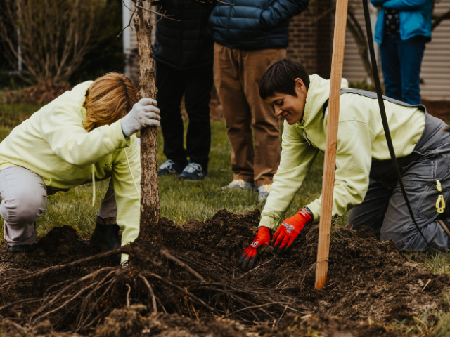 two woman planting tree