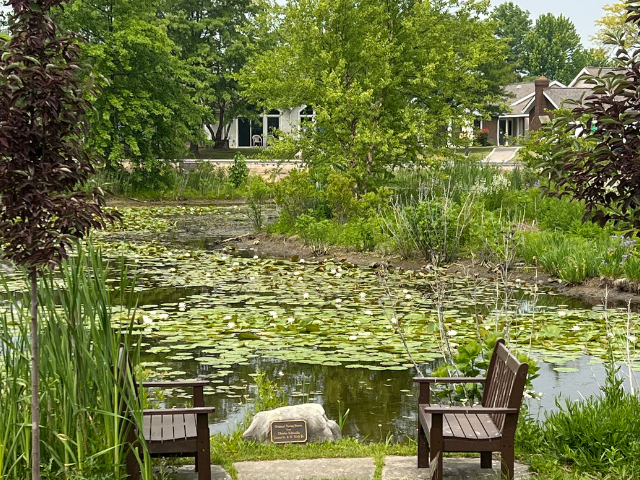 pond view and two benches facing each other