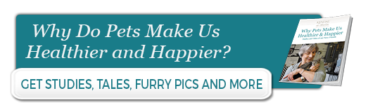 Why do pets make us happier and healthier