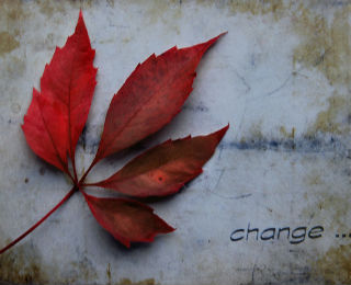 Change_Words_with_Leaf