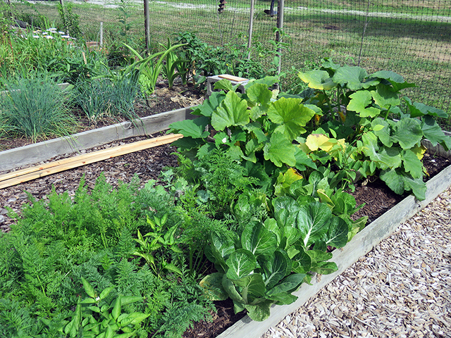 Community Garden 640x480