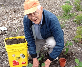 Kendal at Oberlin resident volunteer gardening.