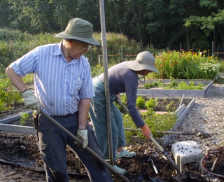 community garden
